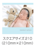 フジフォトアルバムのスクエアサイズ210